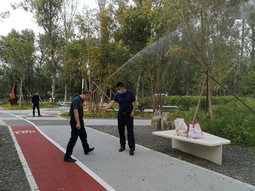 區(qū)園林綠化局采取'四不兩直'方式深入檢查城市森林建設工程及園林綠化工程施工