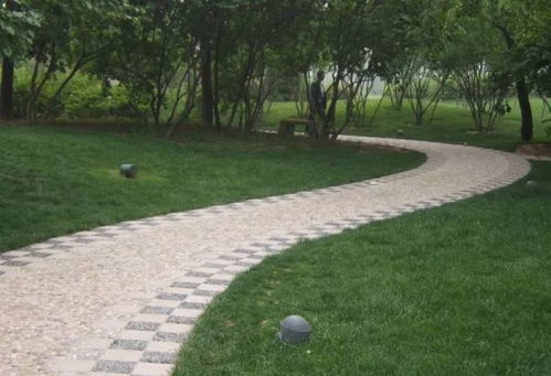 園林綠化及園林綠化施工全解 城市綠化管理