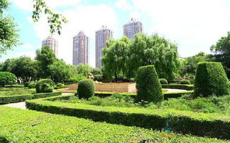 園林綠化施工的五大注意事項及城市綠化管理要點