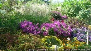 園林綠化工程全流程資料指南 從設計圖紙到實景落成