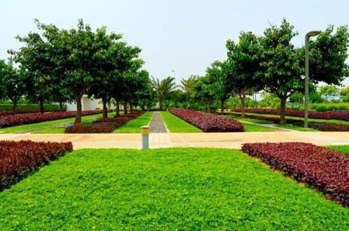 城市綠化工程中需報驗的關鍵材料與規范流程